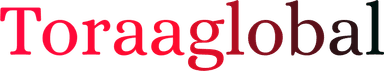 StellarSolutions Logo
